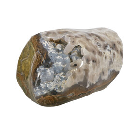 Geopaliseerd hout met chalcedoon stam gepolijst 28 x 18 x 15 cm | 9840 gram Geopaliseerd hout met chalcedoon stam gepolijst 28 x 18 x 15 cm | 9840 gram