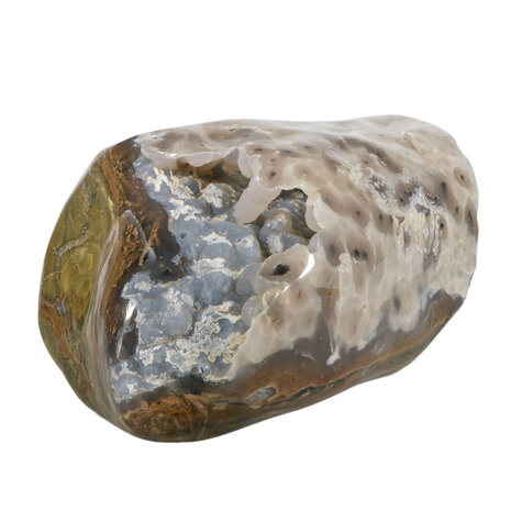 Geopaliseerd hout met chalcedoon stam gepolijst 28 x 18 x 15 cm | 9840 gram Geopaliseerd hout met chalcedoon stam gepolijst 28 x 18 x 15 cm | 9840 gram