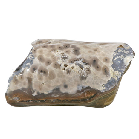 Geopaliseerd hout met chalcedoon stam gepolijst 28 x 18 x 15 cm | 9840 gram Geopaliseerd hout met chalcedoon stam gepolijst 28 x 18 x 15 cm | 9840 gram