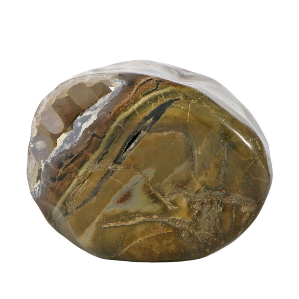 Geopaliseerd hout met chalcedoon stam gepolijst 28 x 18 x 15 cm | 9840 gram Geopaliseerd hout met chalcedoon stam gepolijst 28 x 18 x 15 cm | 9840 gram