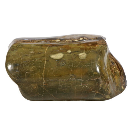 Geopaliseerd hout met chalcedoon stam gepolijst 28 x 18 x 15 cm | 9840 gram Geopaliseerd hout met chalcedoon stam gepolijst 28 x 18 x 15 cm | 9840 gram