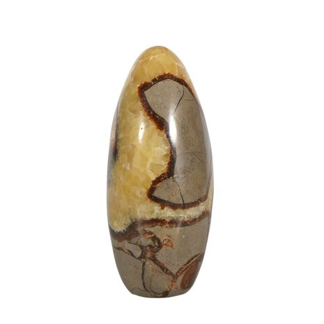 Septarie sculptuur 12 x 7,5 x 4,5 cm | 732 gram Septarie sculptuur 12 x 7,5 x 4,5 cm | 732 gram