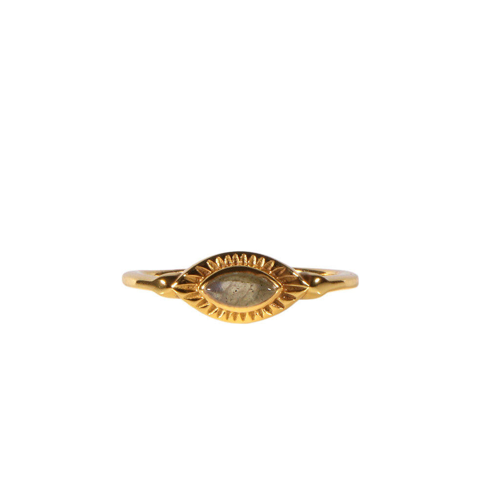 Vergulde ring labradoriet maat 17 | markies 6 x 3 mm