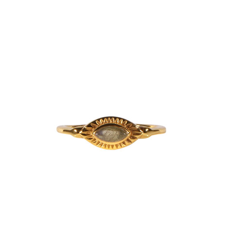 Vergulde ring labradoriet maat 17 | markies 6 x 3 mm
