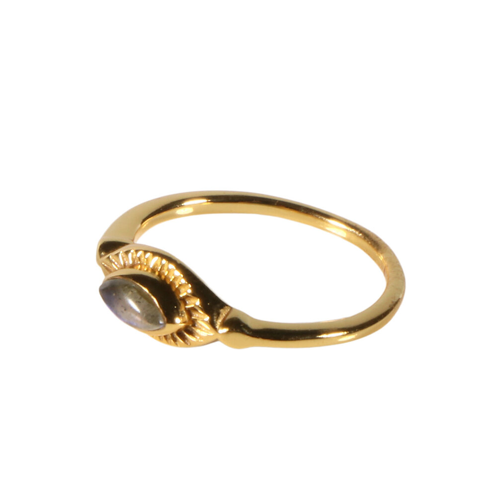 Vergulde ring labradoriet maat 17 | markies 6 x 3 mm