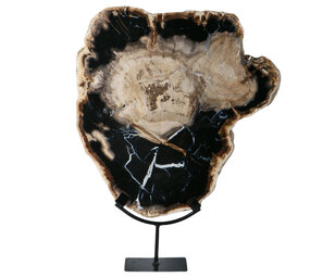 Versteend hout schijf gepolijst op standaard 40 x 39,5 x 2 cm | 6390 gram Versteend hout schijf gepolijst op standaard 40 x 39,5 x 2 cm | 6390 gram