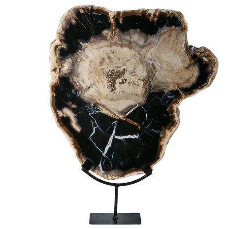 Versteend hout schijf gepolijst op standaard 40 x 39,5 x 2 cm | 6390 gram Versteend hout schijf gepolijst op standaard 40 x 39,5 x 2 cm | 6390 gram