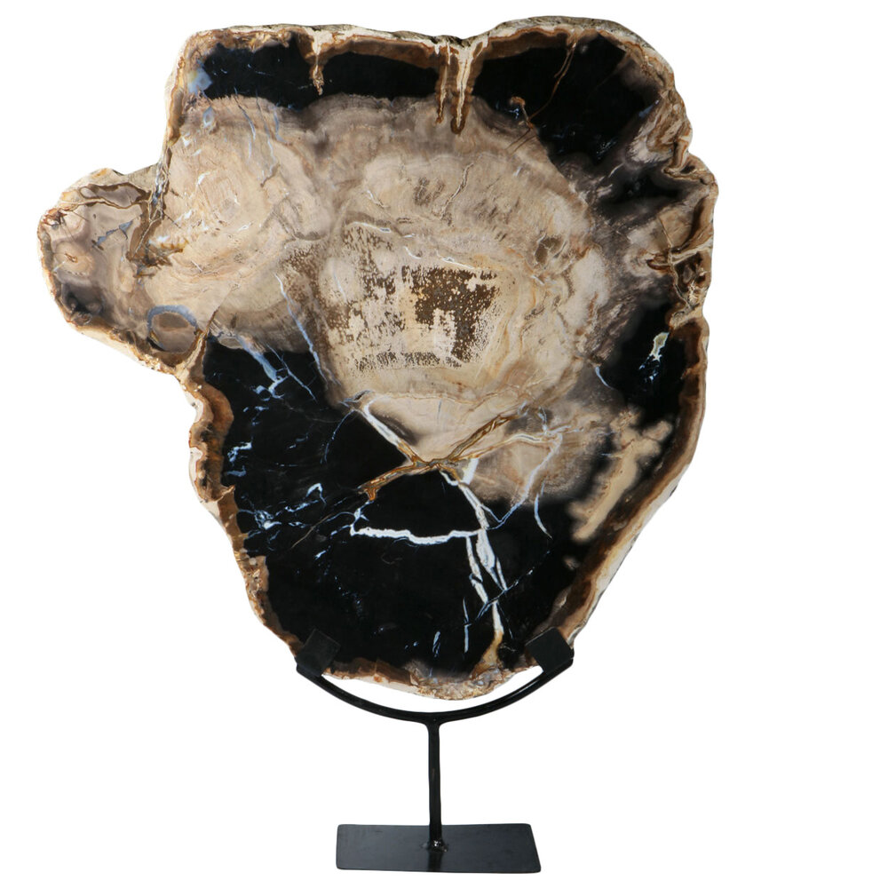 Versteend hout schijf gepolijst op standaard 40 x 39,5 x 2 cm | 6390 gram Versteend hout schijf gepolijst op standaard 40 x 39,5 x 2 cm | 6390 gram