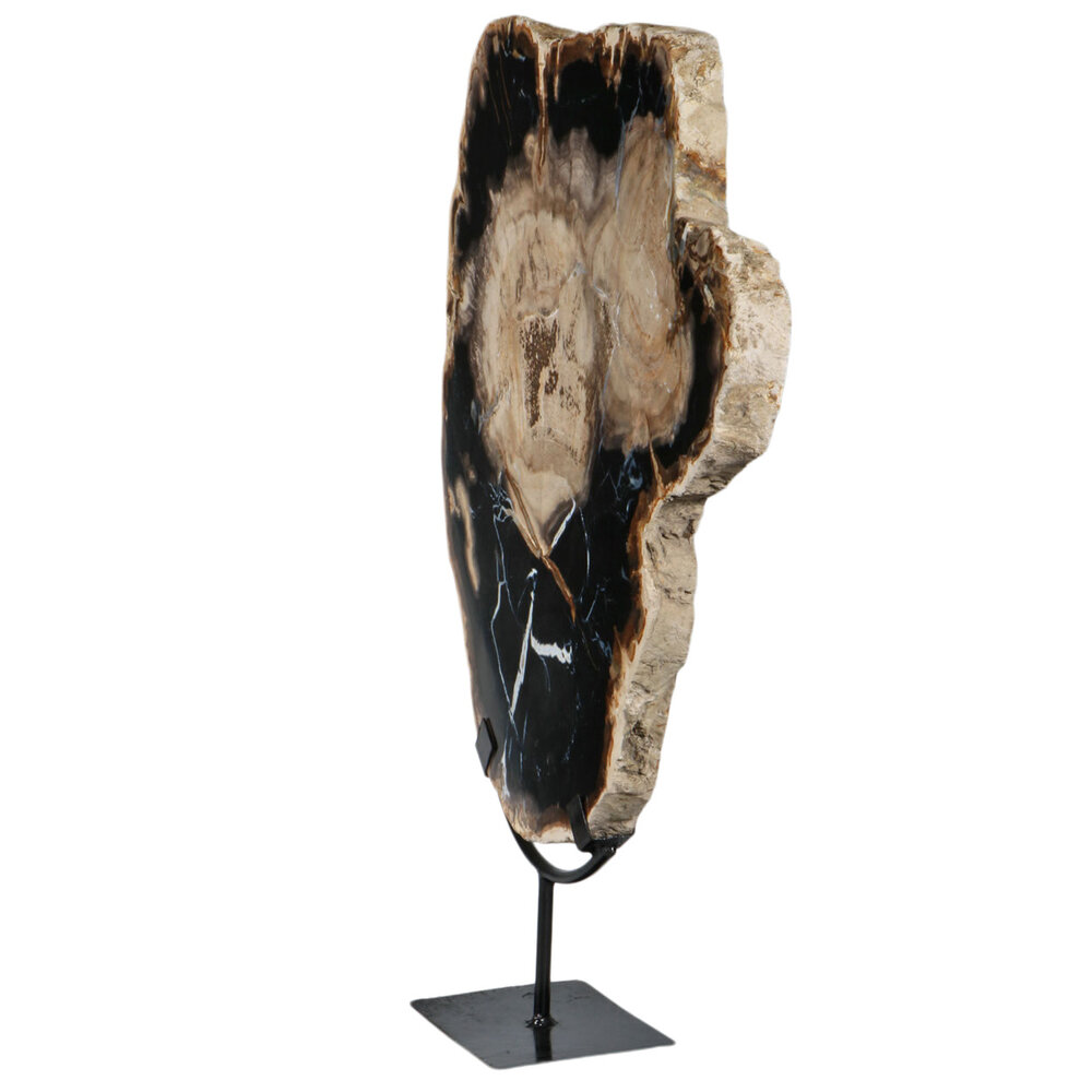 Versteend hout schijf gepolijst op standaard 40 x 39,5 x 2 cm | 6390 gram Versteend hout schijf gepolijst op standaard 40 x 39,5 x 2 cm | 6390 gram