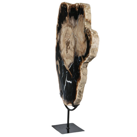 Versteend hout schijf gepolijst op standaard 40 x 39,5 x 2 cm | 6390 gram Versteend hout schijf gepolijst op standaard 40 x 39,5 x 2 cm | 6390 gram