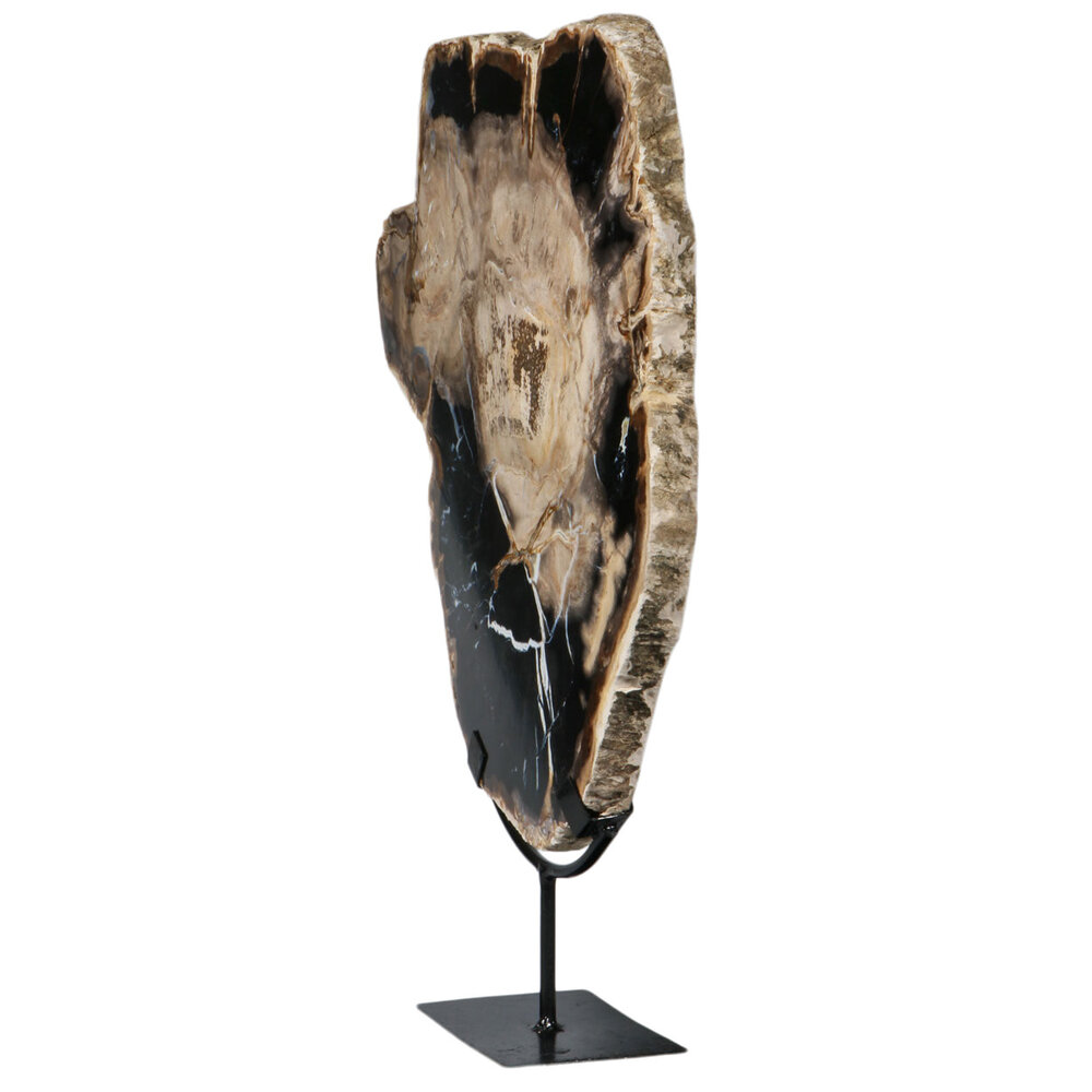 Versteend hout schijf gepolijst op standaard 40 x 39,5 x 2 cm | 6390 gram Versteend hout schijf gepolijst op standaard 40 x 39,5 x 2 cm | 6390 gram