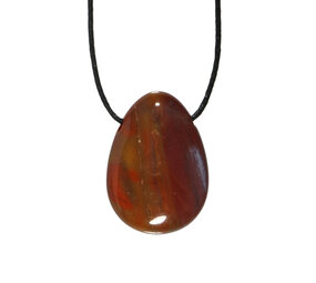 Versteend hout hanger doorboord Versteend hout hanger doorboord