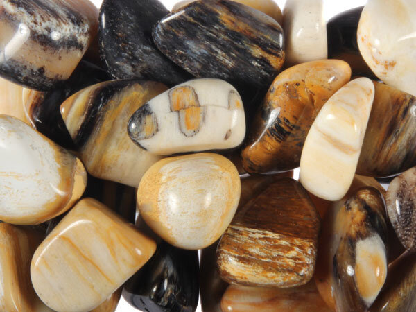 Geopaliseerd hout steen getrommeld 1 - 2 gram Geopaliseerd hout steen getrommeld 1 - 2 gram