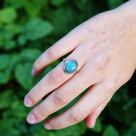 Zilveren ring labradoriet maat 18 | ovaal 14 x 10 mm Zilveren ring labradoriet maat 18 | ovaal 14 x 10 mm