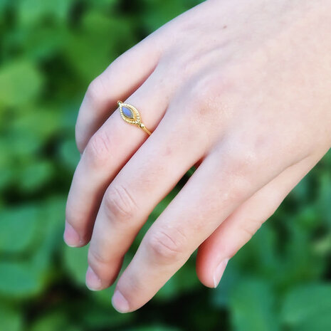 Vergulde ring labradoriet maat 17 | markies 6 x 3 mm