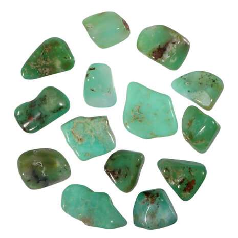 Chrysopraas steen getrommeld 10 - 20 gram Chrysopraas steen getrommeld 10 - 20 gram