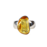 Zilveren ring barnsteen maat 18 1/2 | 1,7 x 1,1 cm Zilveren ring barnsteen maat 18 1/2 | 1,7 x 1,1 cm