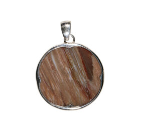 Zilveren hanger versteend hout | rond 3 cm (1) Zilveren hanger versteend hout | rond 3 cm (1)