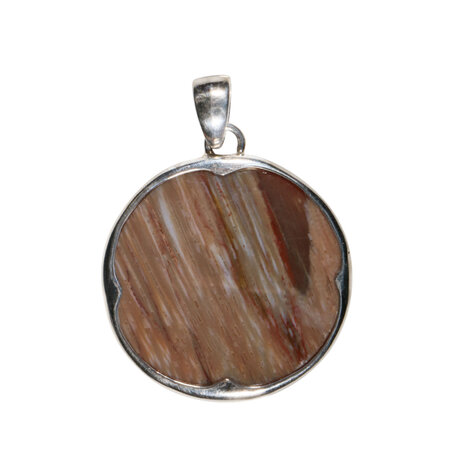 Zilveren hanger versteend hout | rond 3 cm (1)