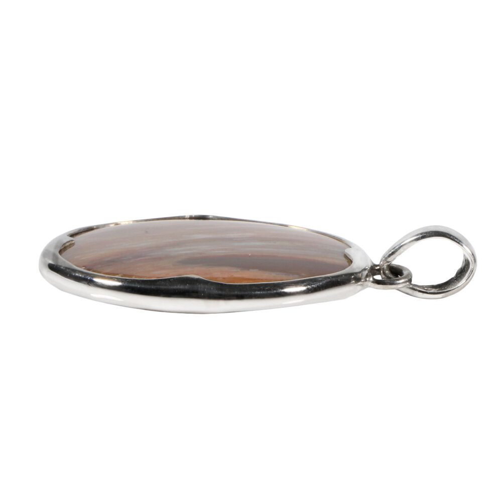 Zilveren hanger versteend hout | rond 3 cm (1)