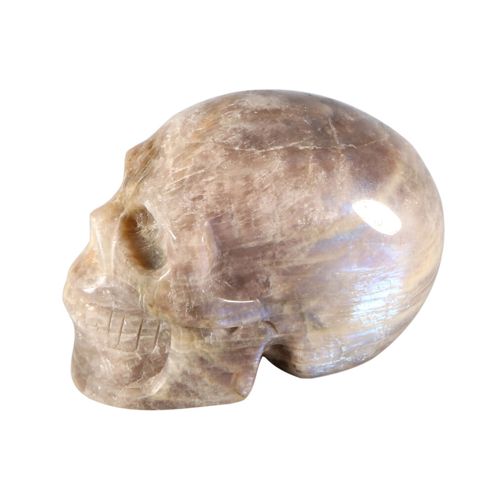 Maansteen (blauw) kristallen schedel 10,5 x 7 x 6 cm | 734 gram Maansteen (blauw) kristallen schedel 10,5 x 7 x 6 cm | 734 gram