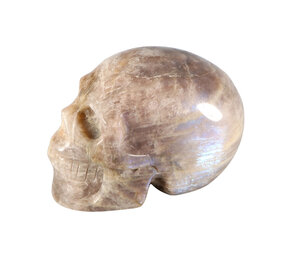 Maansteen (blauw) kristallen schedel 10,5 x 7 x 6 cm | 734 gram Maansteen (blauw) kristallen schedel 10,5 x 7 x 6 cm | 734 gram