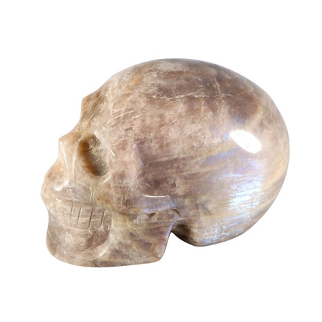 Maansteen (blauw) kristallen schedel 10,5 x 7 x 6 cm | 734 gram Maansteen (blauw) kristallen schedel 10,5 x 7 x 6 cm | 734 gram