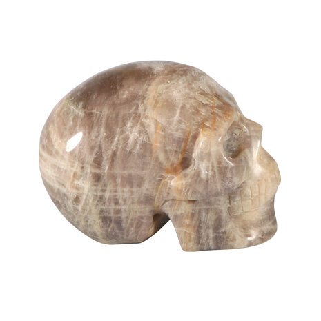Maansteen (blauw) kristallen schedel 10,5 x 7 x 6 cm | 734 gram Maansteen (blauw) kristallen schedel 10,5 x 7 x 6 cm | 734 gram