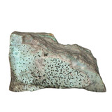Chrysocolla (drusy) cluster met dendrieten 15,5 x 9 x 6 cm | 1304 gram Chrysocolla (drusy) cluster met dendrieten 15,5 x 9 x 6 cm | 1304 gram