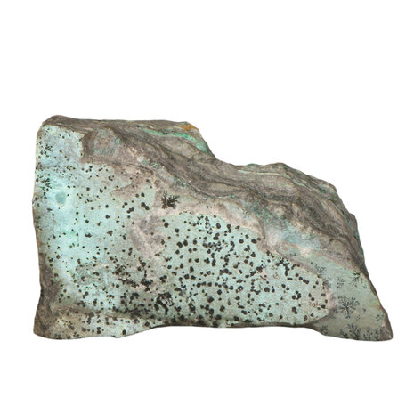 Chrysocolla (drusy) cluster met dendrieten 15,5 x 9 x 6 cm | 1304 gram Chrysocolla (drusy) cluster met dendrieten 15,5 x 9 x 6 cm | 1304 gram