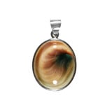 Zilveren hanger Shiva oog | ovaal 2,6 x 2,2 cm