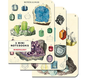 Set van 3 kleine notitieboekjes "Minéralogie" 10 x 14 cm Set van 3 kleine notitieboekjes "Minéralogie" 10 x 14 cm