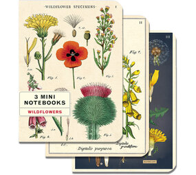 Set van 3 kleine notitieboekjes "Wildflowers" 10 x 14 cm Set van 3 kleine notitieboekjes "Wildflowers" 10 x 14 cm