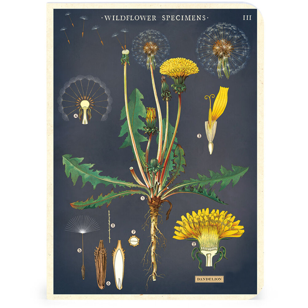 Set van 3 kleine notitieboekjes "Wildflowers" 10 x 14 cm Set van 3 kleine notitieboekjes "Wildflowers" 10 x 14 cm