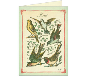 Dubbele kaart "Merci" met enveloppe Dubbele kaart "Merci" met enveloppe