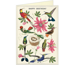 Dubbele kaart "Happy Birthday Hummingbirds" met enveloppe Dubbele kaart "Happy Birthday Hummingbirds" met enveloppe