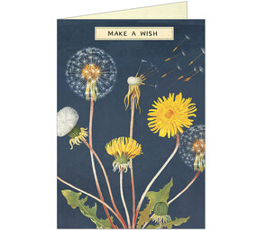 Dubbele kaart "Make a wish" met enveloppe