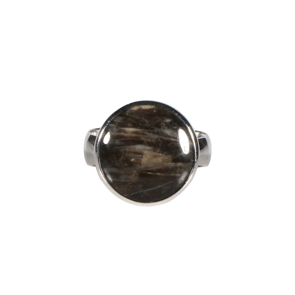 Zilveren ring versteend hout maat 19 | rond  1,5 cm Zilveren ring versteend hout maat 19 | rond  1,5 cm