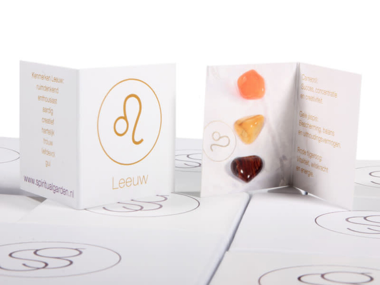 Zilveren oorbellen sterrenbeeld leeuw 6 mm Zilveren oorbellen sterrenbeeld leeuw 6 mm