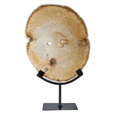 Versteend palmhout schijf gepolijst op standaard 27,5 x 22,5 x 1,5 cm | 2280 gram Versteend palmhout schijf gepolijst op standaard 27,5 x 22,5 x 1,5 cm | 2280 gram