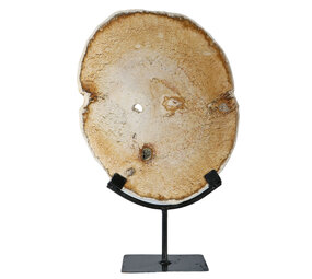 Versteend palmhout schijf gepolijst op standaard 27,5 x 22,5 x 1,5 cm | 2280 gram