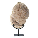 Versteend hout schijf gepolijst op standaard 31 x 23 x 2 cm | 2299 gram