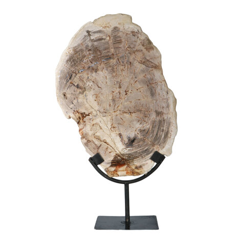 Versteend hout schijf gepolijst op standaard 31 x 23 x 2 cm | 2299 gram