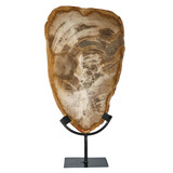 Versteend hout schijf gepolijst op standaard 34,5 x 21,5 x 2 cm | 3266 gram Versteend hout schijf gepolijst op standaard 34,5 x 21,5 x 2 cm | 3266 gram