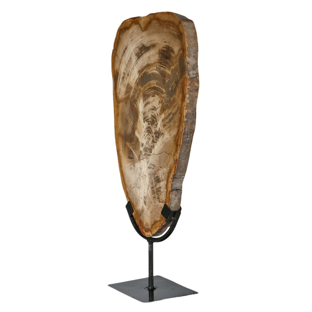 Versteend hout schijf gepolijst op standaard 34,5 x 21,5 x 2 cm | 3266 gram Versteend hout schijf gepolijst op standaard 34,5 x 21,5 x 2 cm | 3266 gram