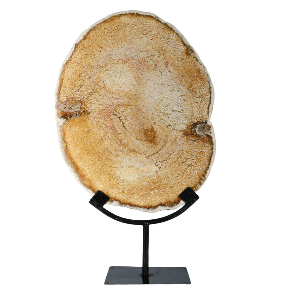 Versteend palmhout schijf gepolijst op standaard 29 x 22,5 x 1,5 cm | 2559 gram Versteend palmhout schijf gepolijst op standaard 29 x 22,5 x 1,5 cm | 2559 gram