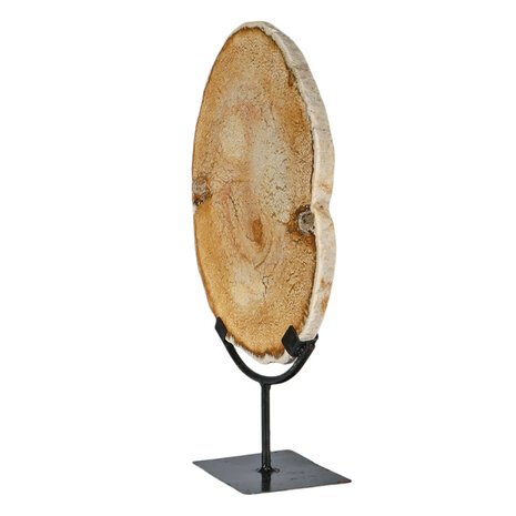 Versteend palmhout schijf gepolijst op standaard 29 x 22,5 x 1,5 cm | 2559 gram Versteend palmhout schijf gepolijst op standaard 29 x 22,5 x 1,5 cm | 2559 gram