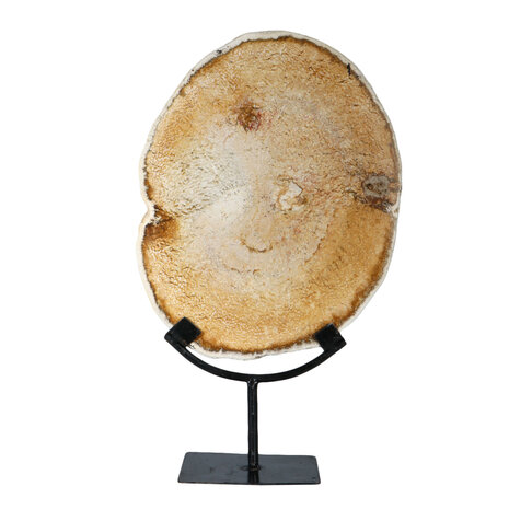 Versteend palmhout schijf gepolijst op standaard 29 x 22,5 x 1,5 cm | 2559 gram Versteend palmhout schijf gepolijst op standaard 29 x 22,5 x 1,5 cm | 2559 gram