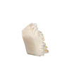 Angel aura kwarts cluster 5,4 x 3,9 x 2,8 cm | 73 gram Angel aura kwarts cluster 5,4 x 3,9 x 2,8 cm | 73 gram
