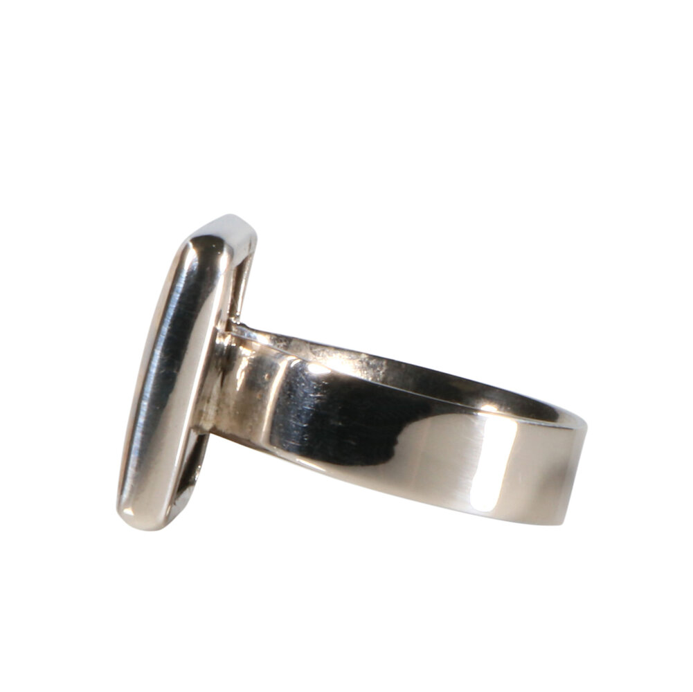 Zilveren ring versteend palm hout maat 19 1/4 | vierkant 1,7 x 1,7 cm Zilveren ring versteend palm hout maat 19 1/4 | vierkant 1,7 x 1,7 cm